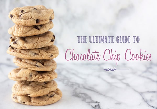 The Ultimate Guide to Chocolate Chip Cookies from HandletheHeat.com