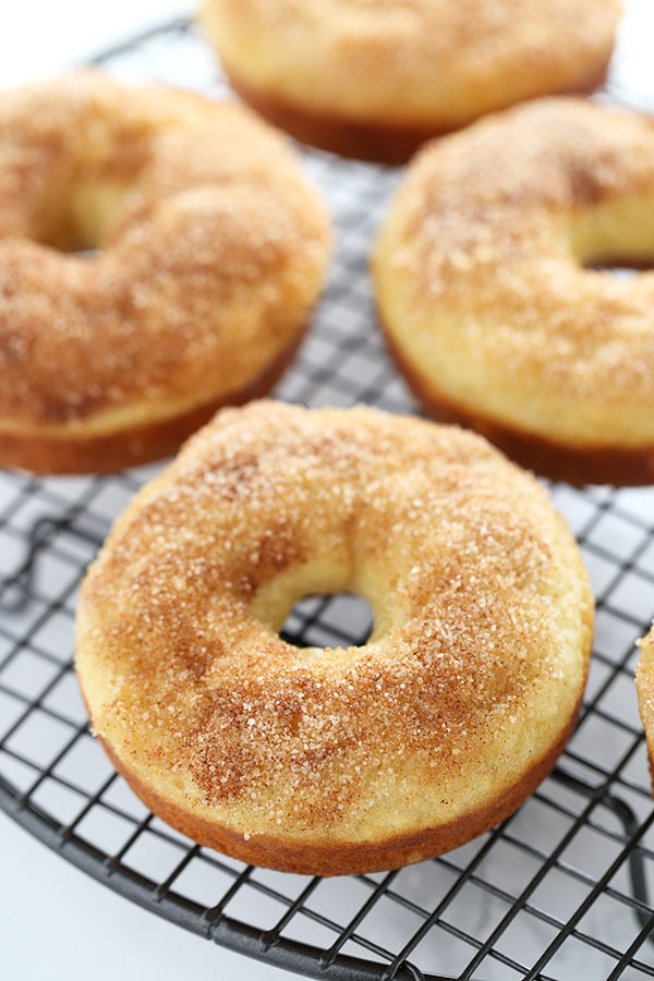 Maple Cinnamon Sugar Baked Donuts take less than 30 minutes to make and are lightened up with yogurt. Perfect quick & easy fall treat!