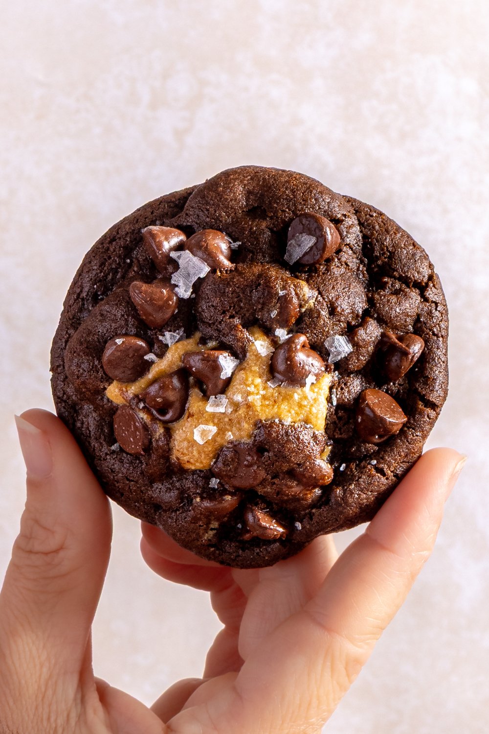 hand holding a peanut butter stuffed double chocolate cookie to show size
