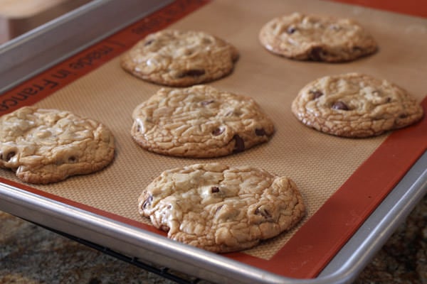 The Ultimate Guide to Chocolate Chip Cookies from HandletheHeat.com