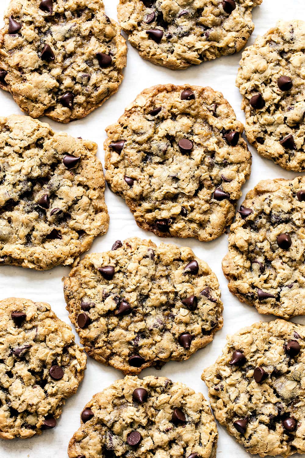 Homemade oatmeal chocolate chip cookies on a white background.