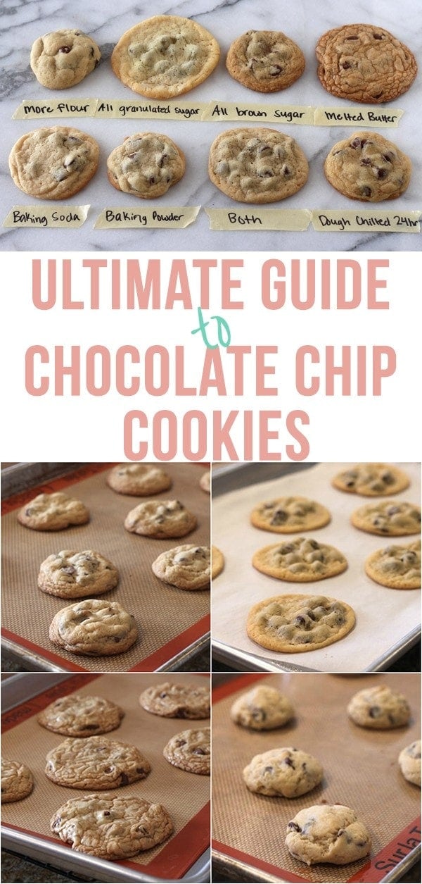 Know Your Cookie Scoops Guide