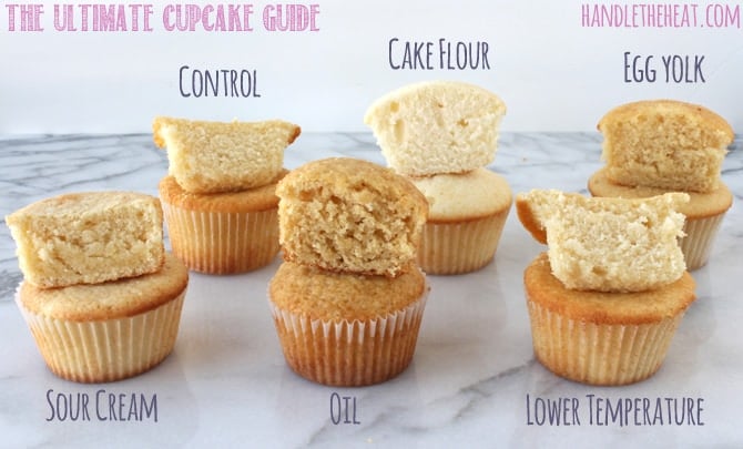 The Ultimate Cupcake Guide shows how different ingredients and techniques make cupcakes light, greasy, fluffy, dense, crumbly, or moist! from handletheheat.com