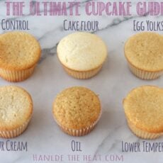 The Ultimate Cupcake Guide shows how different ingredients and techniques make cupcakes light, greasy, fluffy, dense, crumbly, or moist! from handletheheat.com