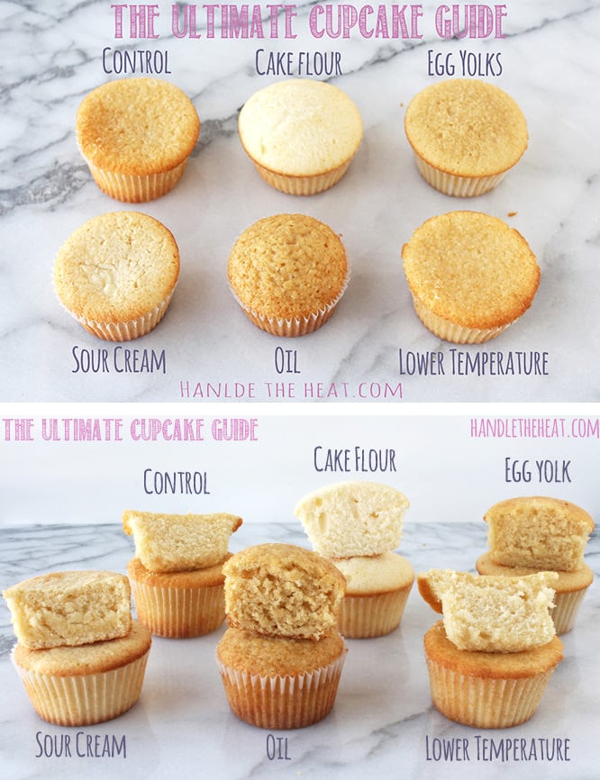 The Ultimate Cupcake Guide: what makes cupcakes light, greasy, fluffy, dense, crumbly, or moist!