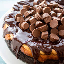 the full peanut butter cheesecake with ganache and mini peanut butter cups on top.