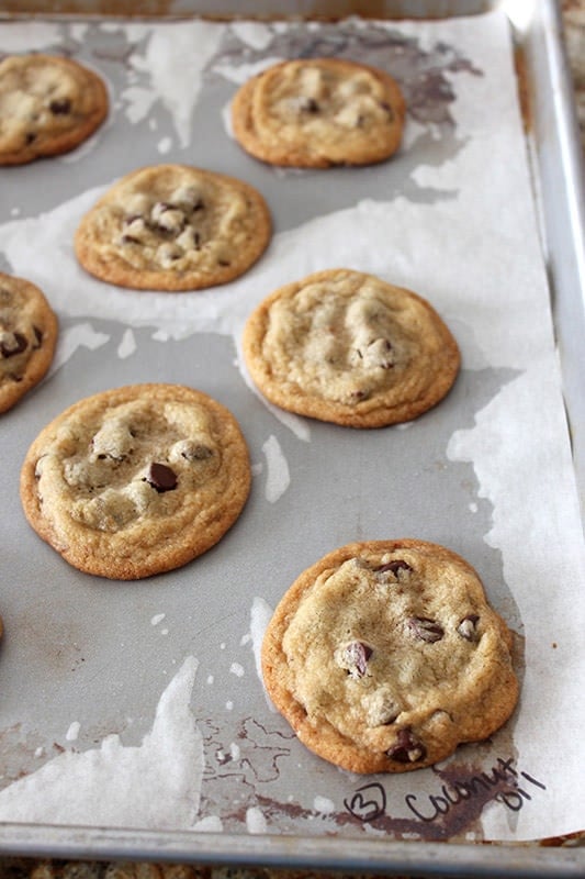 Ultimate Guide to Chocolate Chip Cookies Part 3 - Coconut Oil