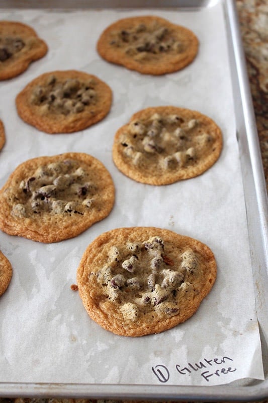 Ultimate Guide to Chocolate Chip Cookies Part 3 - Gluten-Free