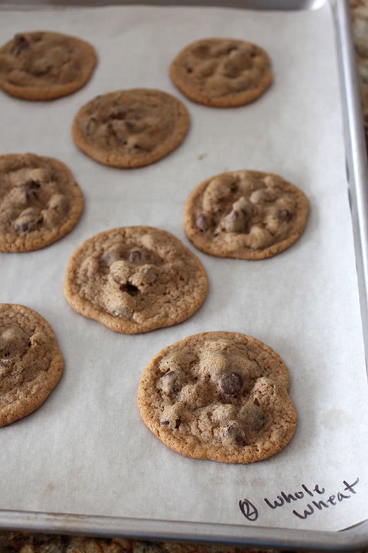 Ultimate Guide to Chocolate Chip Cookies Part 3 - Whole Wheat