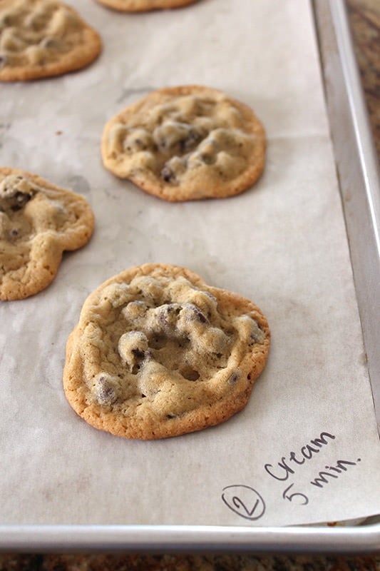 Ultimate Guide to Chocolate Chip Cookies Part 4 - 5 minute creaming
