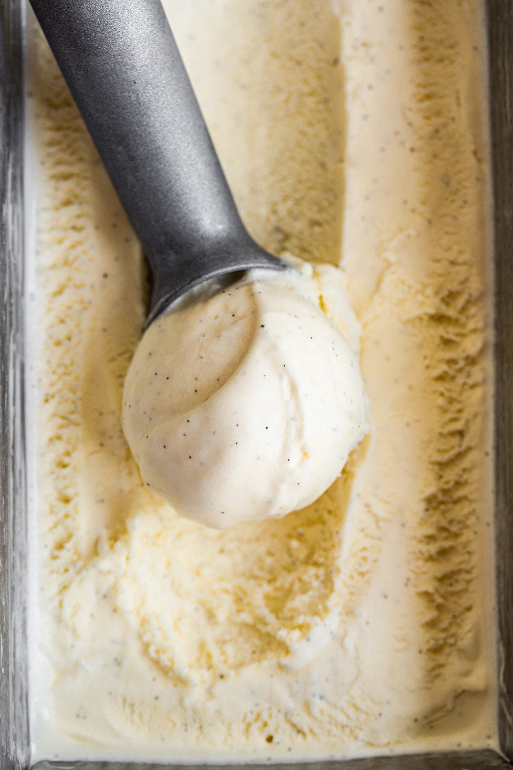 scoop of homemade French vanilla ice cream - so creamy!