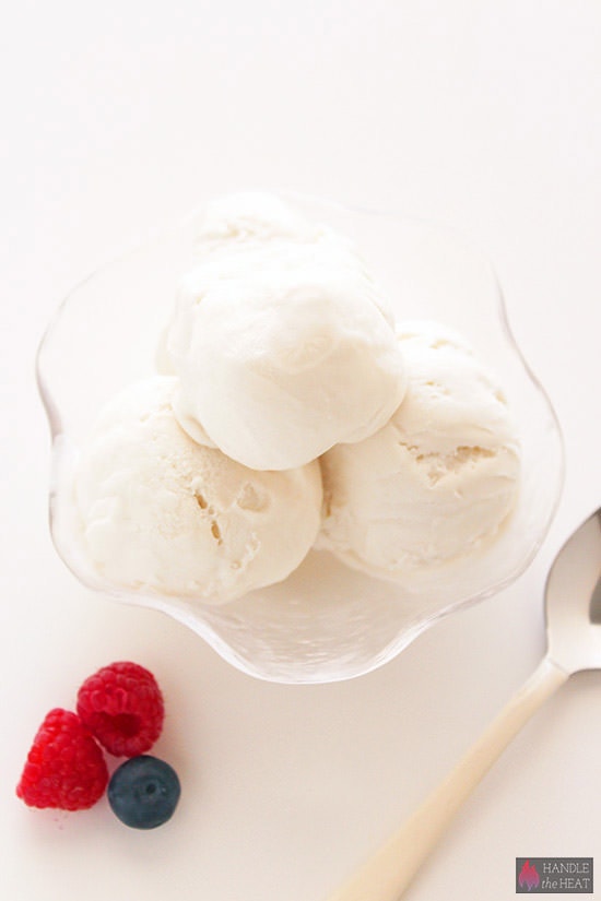 Vegan Coconut Ice Cream with only 3 ingredients!