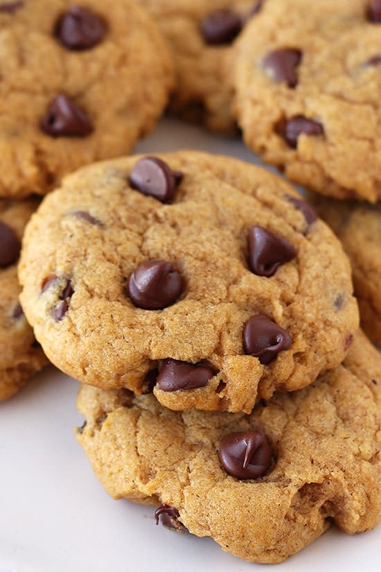 Pumpkin Chocolate Chip Cookies - these are actually soft yet CHEWY! Not cakey!