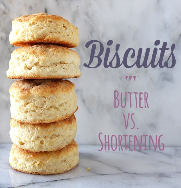 all about biscuits