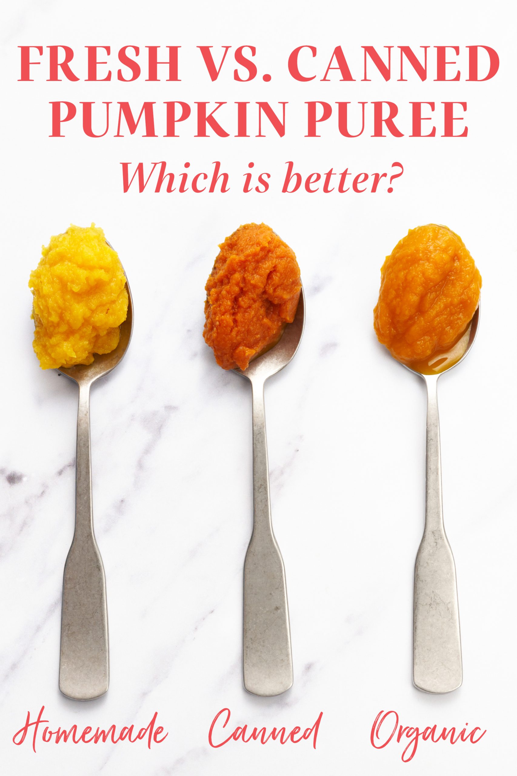 Fresh vs. Canned Pumpkin Handle the Heat