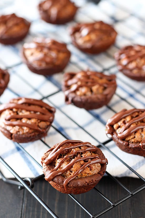 Chocolate Pecan Tassies are perfect for holiday baking!