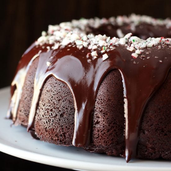 Peppermint Mocha Bundt Cake - Handle the Heat