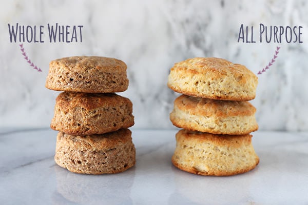 How to Make Biscuits: All Purpose Flour vs. Whole Wheat