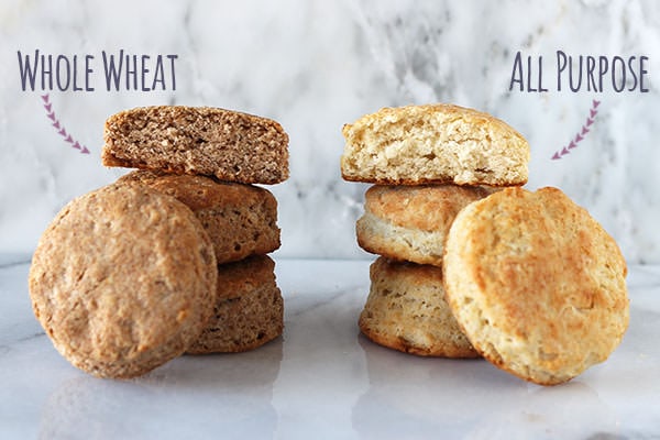How to Make Biscuits: All Purpose Flour vs. Whole Wheat Flour