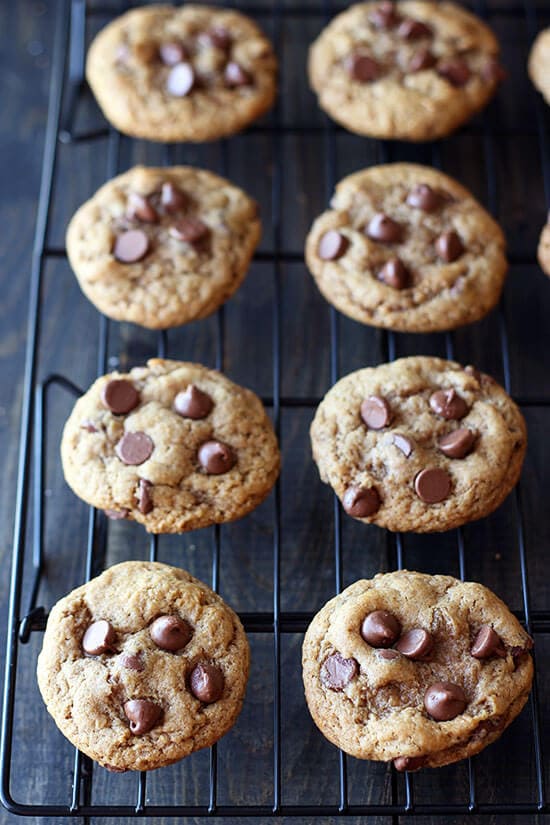 Ultra CHEWY and soft! Homemade graham cracker cookie loaded with milk chocolate chips. Perfect base for roasted marshmallows!
