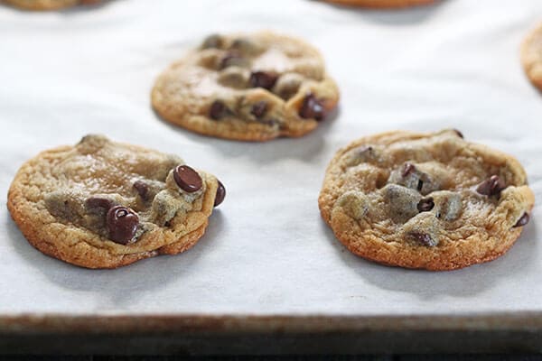 The Best Soft Batch Chocolate Chip Cookies
