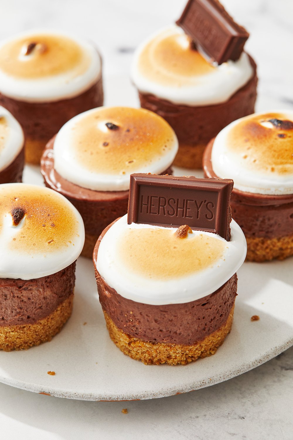 s'mores mini cheesecakes arranged on a white plate - the perfect summer dessert recipe!