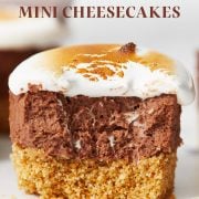 https://handletheheat.com/wp-content/uploads/2015/06/smores-mini-cheesecakes-1-180x180.jpg