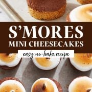 No-Bake S'mores Mini Cheesecakes - Handle the Heat