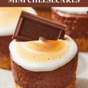 No-Bake S'mores Mini Cheesecakes - Handle the Heat