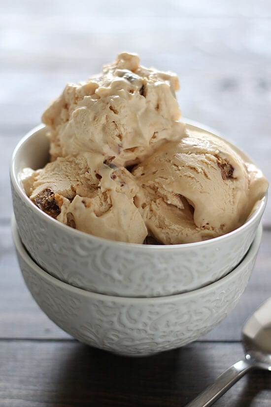 Homemade Ice Cream Maker, By the Pint