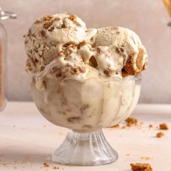 bowl with scoops of cookie butter ice cream