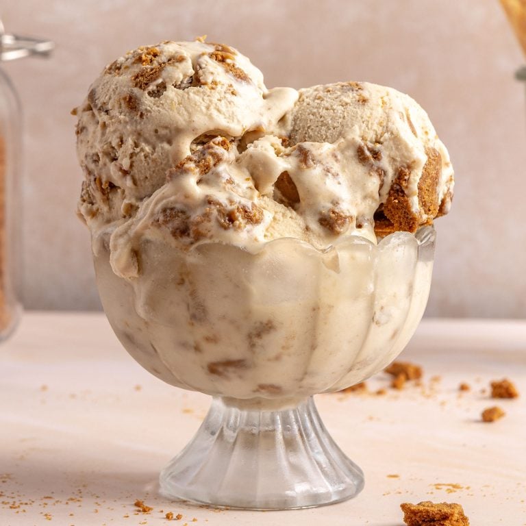 bowl with scoops of cookie butter ice cream