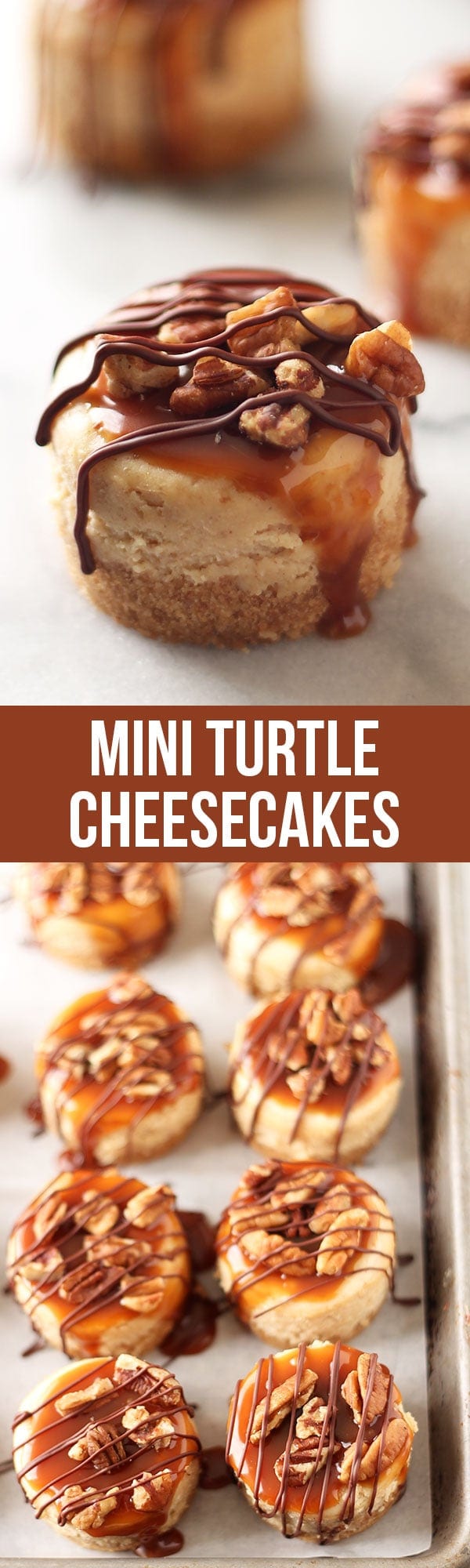 These lasted 2 MINUTES! Everyone loved them. Mini Turtle Cheesecakes feature a thick graham cracker crust, vanilla cheesecake filling, and are topped with caramel, toasted pecans, and chocolate!