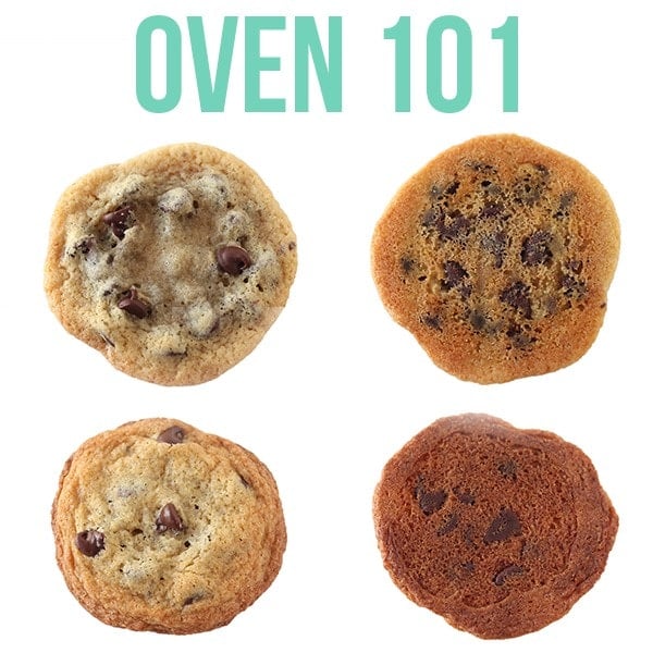 Oven 101: What You NEED to Know