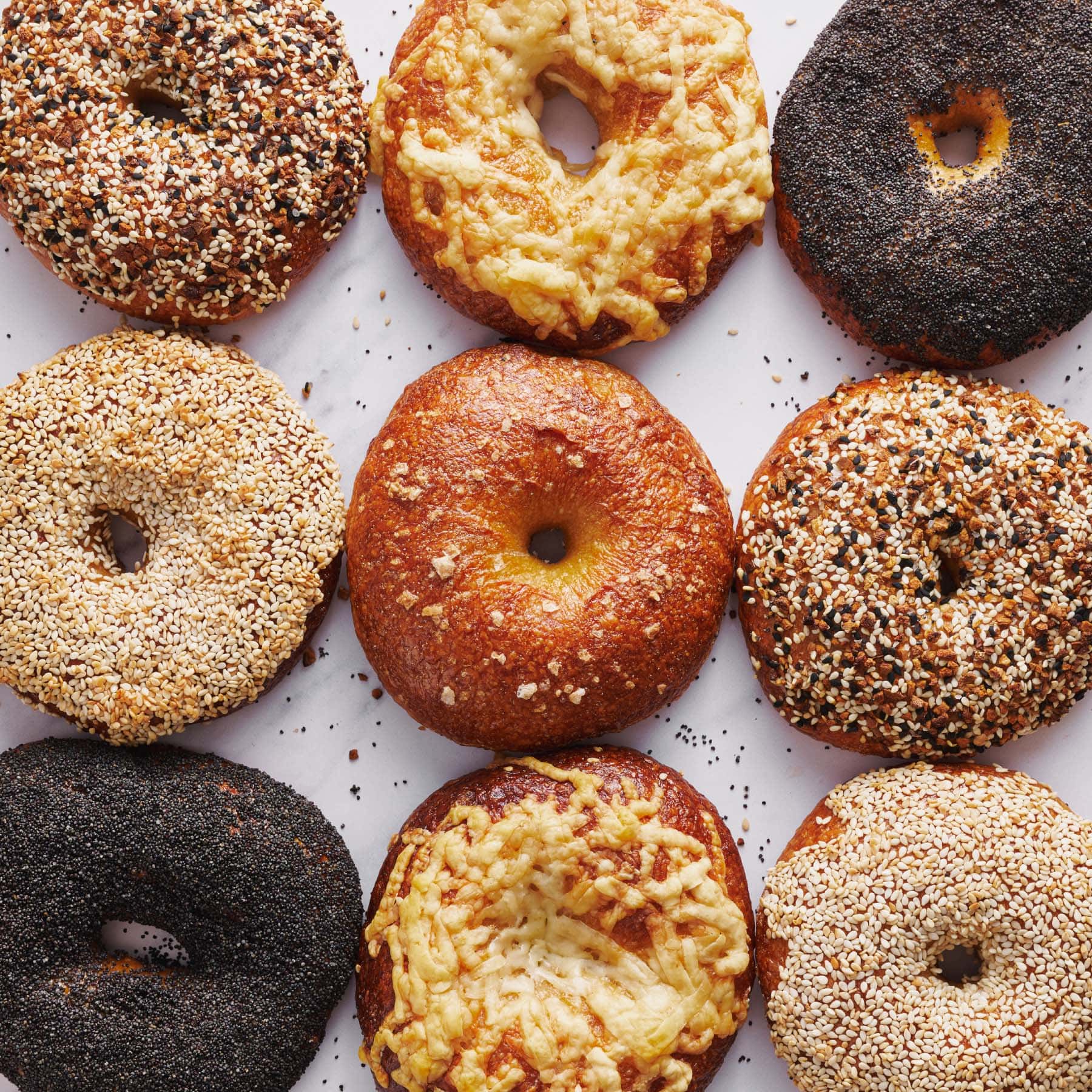 overhead of everything topping bagels, asiago cheese bagels, sesame seed bagels, and poppy seed bagels
