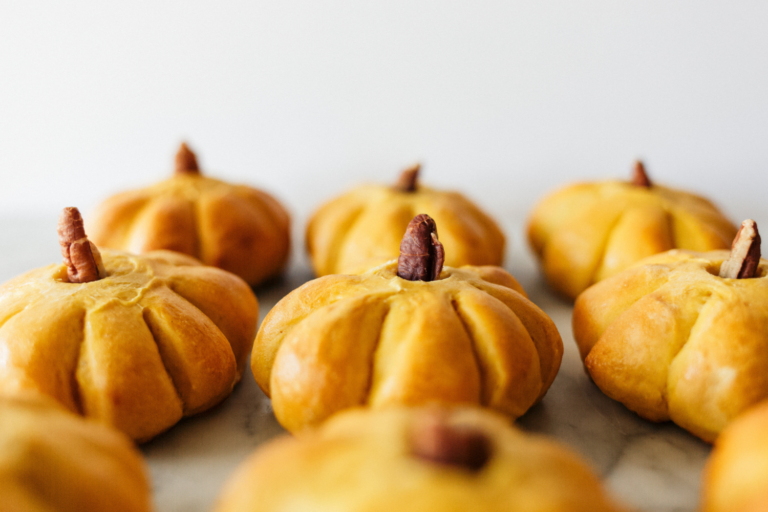 lineup of homemade pumpkin bread rolls on a plain background.