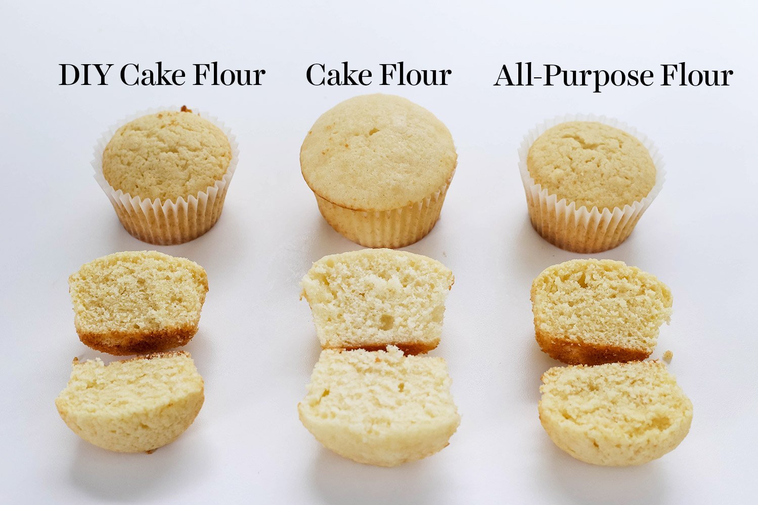 Diving into Cake Flour 101 - A fun visual guide to cake flour including what it is, how to substitute, and side-by-side comparisons so you can see how it works in action!