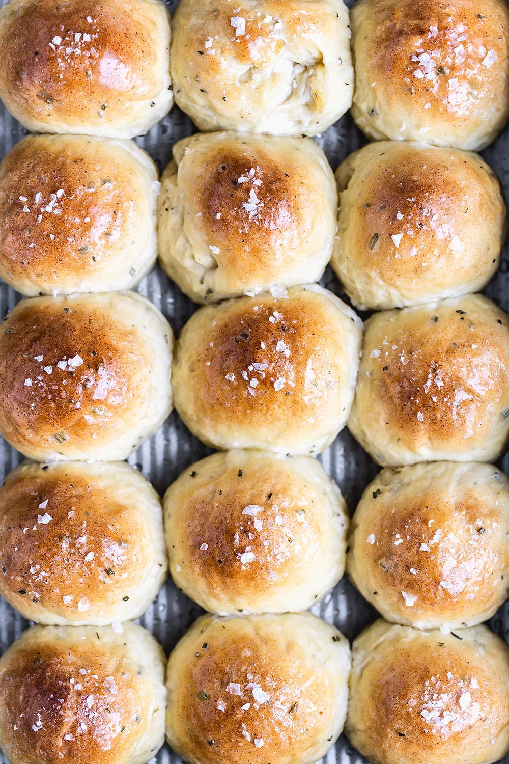 Ricotta Herb Dinner Rolls made with fresh thyme, rosemary, and fresh ricotta cheese. They're crazy soft and tender!