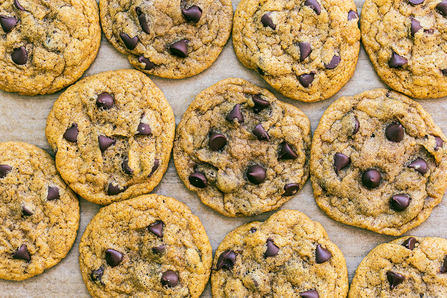 lots of chewy, soft, butterscotch-y pumpkin chocolate chip cookies on a baking sheet