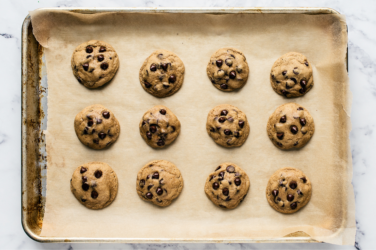 a tray of freshly-baked SOFT Chocolate Chip Cookies
