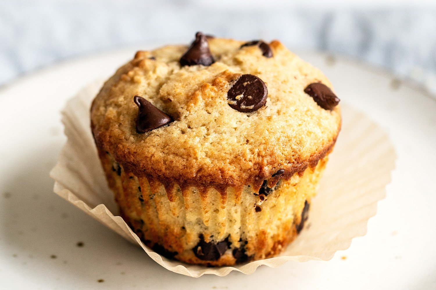 a muffin on a plate to serve.