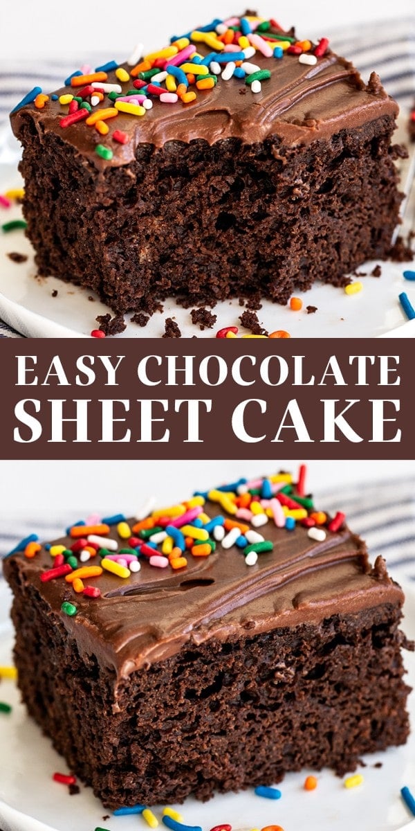 Easy Chocolate Sheet Cake Recipe - Handle the Heat