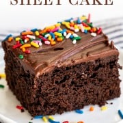 EASY Chocolate Sheet Cake