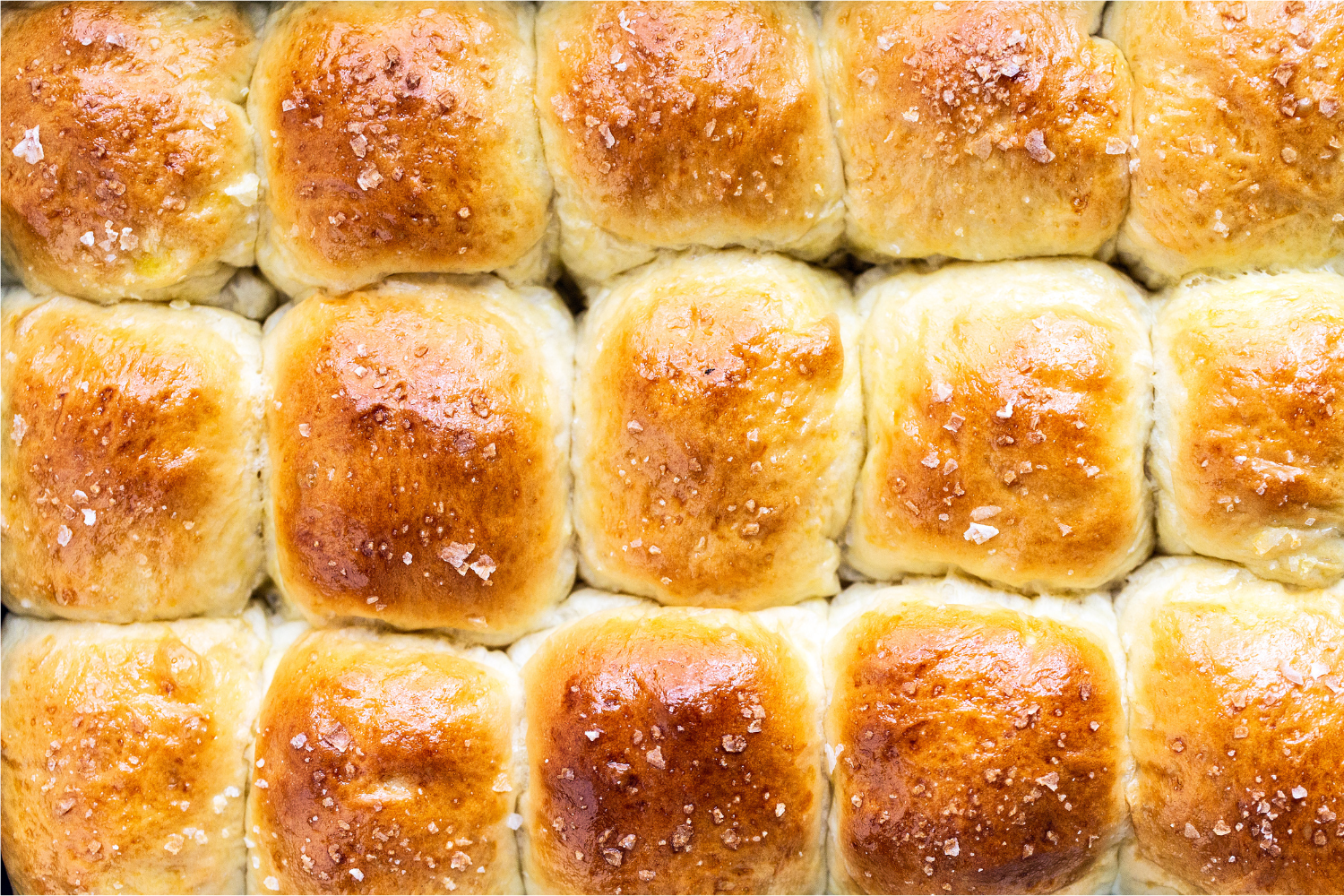 Soft Butter Dinner Rolls fresh out of the oven, golden brown and shiny from their egg wash.