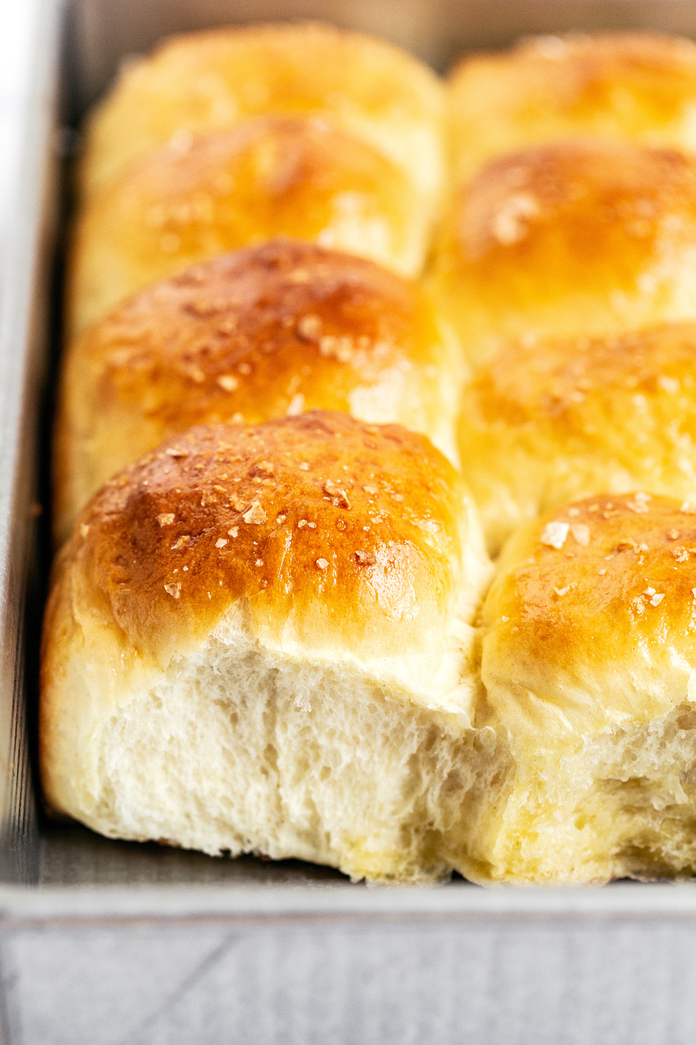 Soft Butter Dinner Rolls in their baking pan, ready to be served.