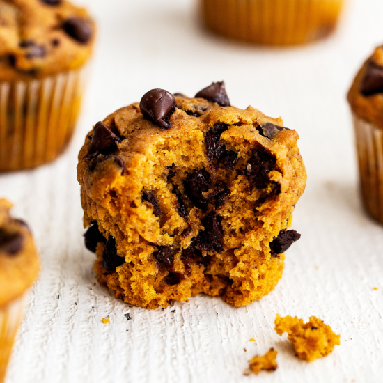 Pumpkin Chocolate Chip Muffins on a white surface, one with a bite taken out