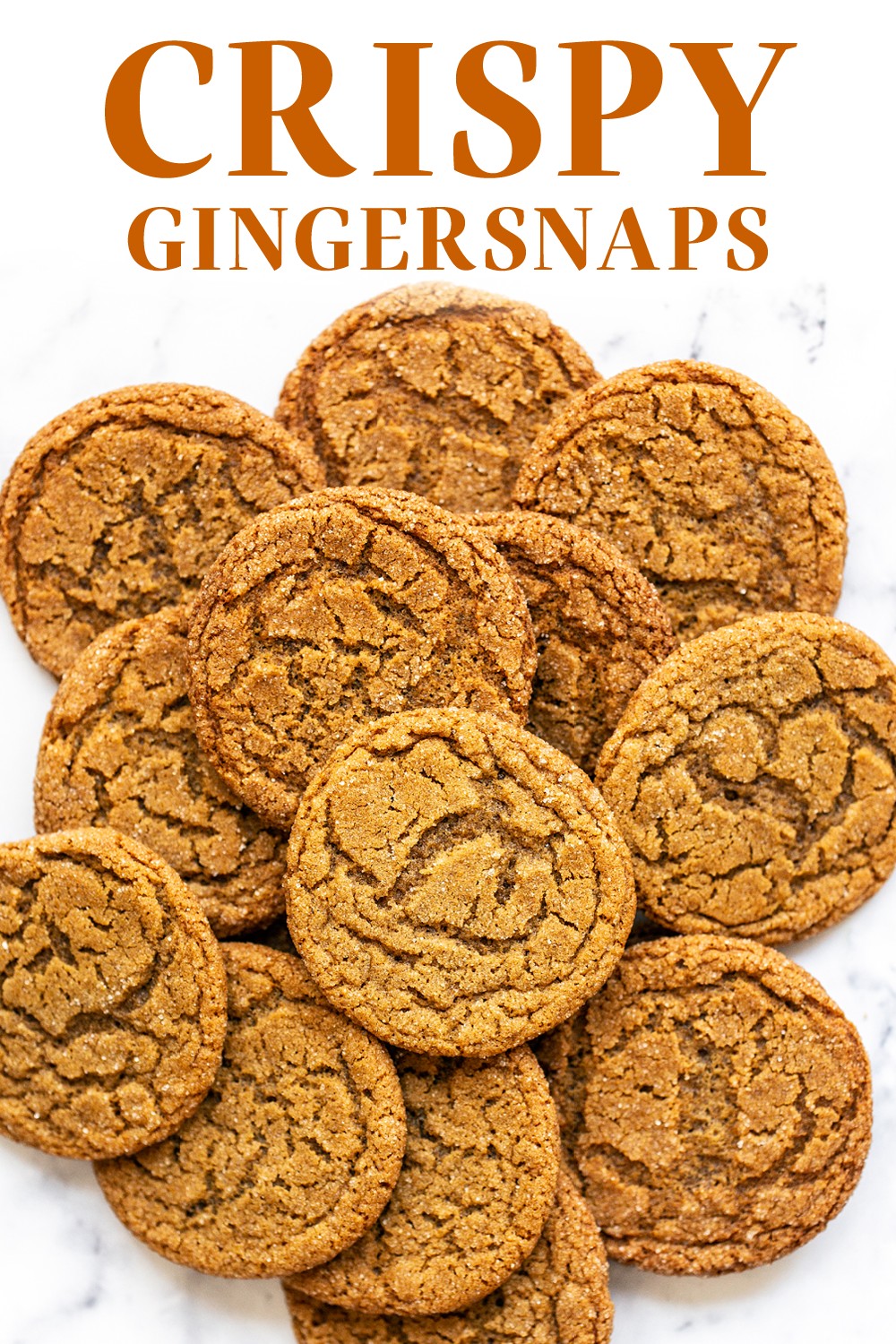 Crispy Gingersnaps Ginger Snap Cookies Recipe