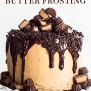 Chocolate Brownie Cake with Peanut Butter Frosting