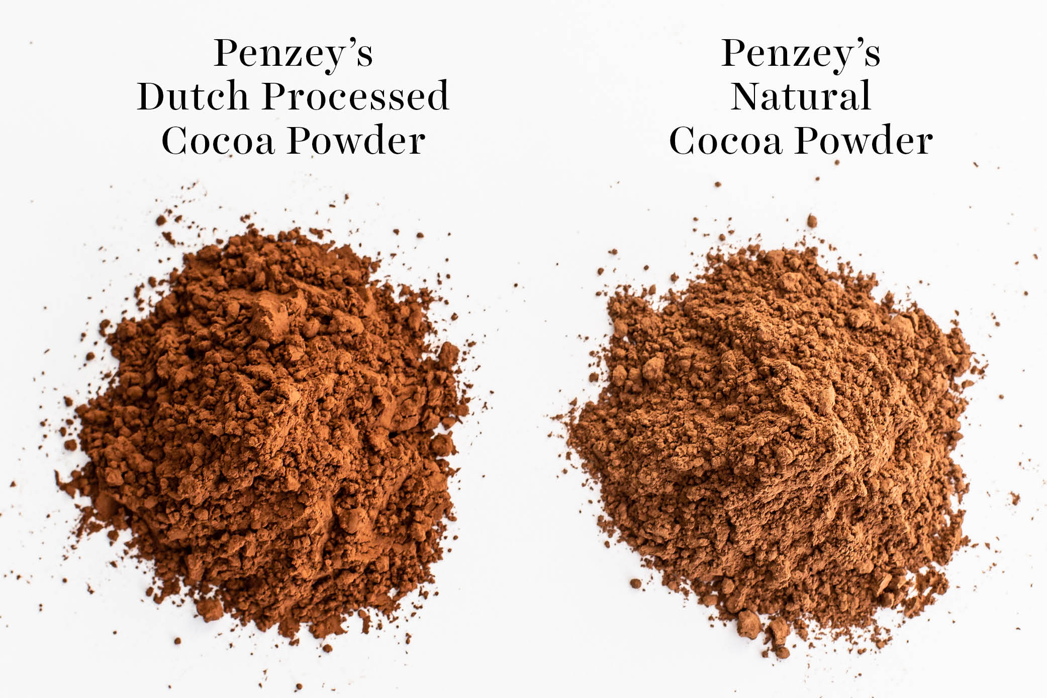 comparison of Penzey's dutch processed vs natural cocoa powder