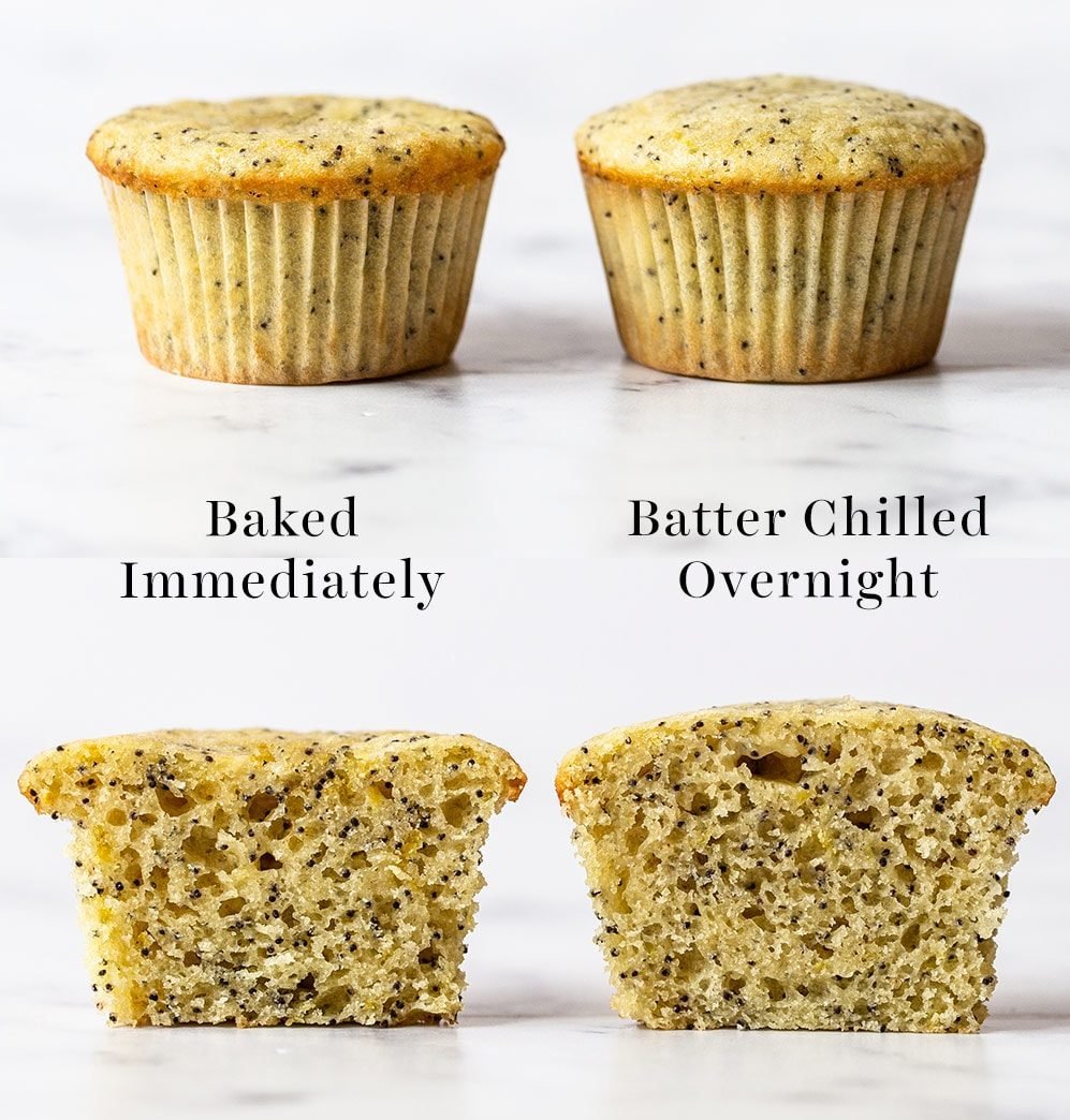 comparison of lemon muffins chilled vs batter not chilled